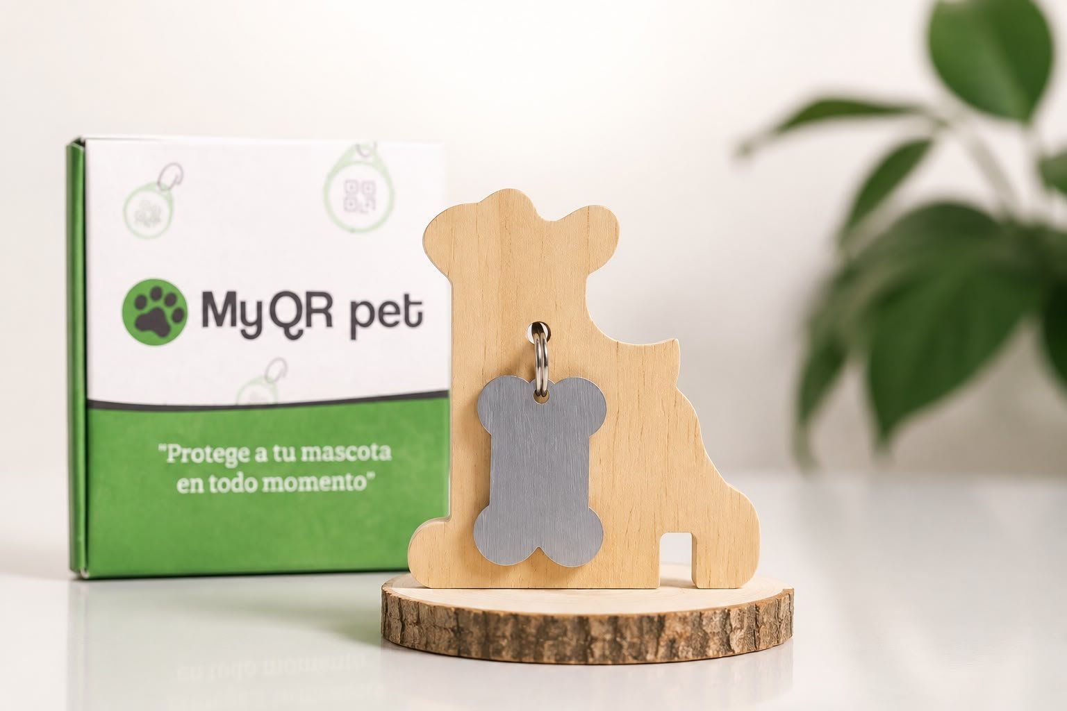 Placa Hueso Grande